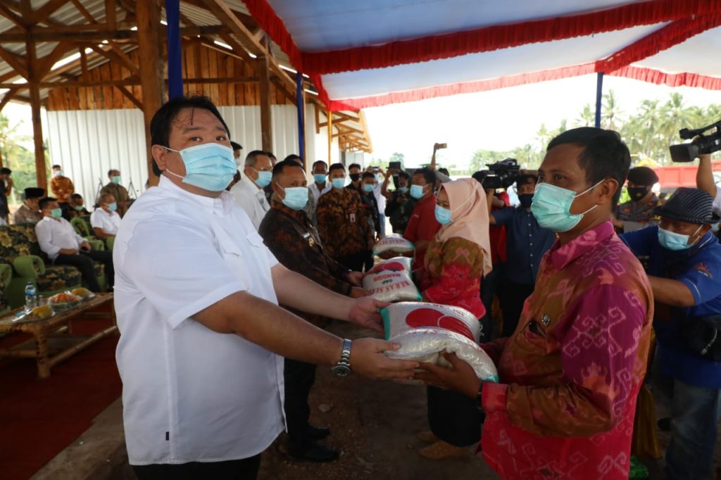 Tanam Perdana, Nanang Harap Pisang Barangan Merah Jadi Komoditi Unggulan Di Lamsel